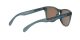 Oakley Frogskins OO 9013 F6