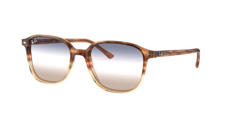 Ray-Ban Leonard RB 2193 1328/GD