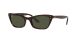 Ray-Ban Lady Burbank RB 2299 902/31