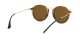 Ray-Ban Round RB 2447 1160