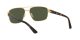 Ray-Ban RB 3663 001/31