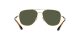 Ray-Ban RB 3683 001/31