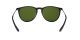 Ray-Ban Erika RB 4171 601/2P