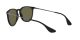 Ray-Ban Erika RB 4171 601/55