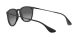 Ray-Ban Erika RB 4171 622/T3