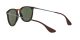 Ray-Ban Erika RB 4171 710/71