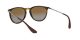 Ray-Ban Erika RB 4171 710/T5