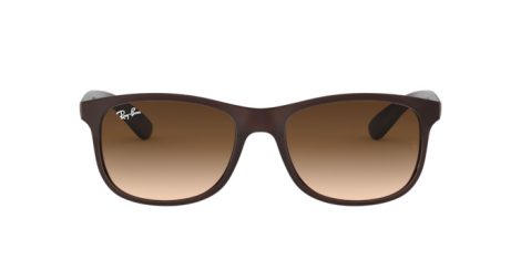 Ray-Ban Andy RB 4202 6073/13