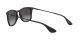 Ray-Ban RB 4221 622/8G