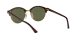 Ray-Ban Clubround RB 4246 990