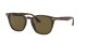 Ray-Ban RB 4258 710/73