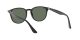 Ray-Ban RB 4259 601/71