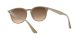 Ray-Ban RB 4259 6166/13