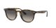 Ray-Ban RB 4259 710/11