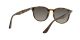 Ray-Ban RB 4259 710/11