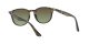 Ray-Ban RB 4259 731/E8