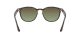 Ray-Ban RB 4259 731/E8