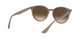 Ray-Ban RB 4305 6166/13