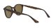 Ray-Ban RB 4305 710/73