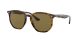 Ray-Ban RB 4306 710/73