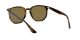 Ray-Ban RB 4306 710/73