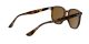 Ray-Ban RB 4306 710/83