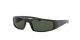 Ray-Ban RB 4335 601/71