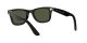 Ray-Ban Wayfarer RB 4340 601