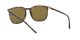 Ray-Ban RB 4387 710/73