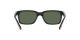 Ray-Ban RB 4393M F650/71