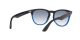 Ray-Ban Iris RB 4471 6632/19