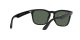 Ray-Ban Steve RB 4487 6629/71