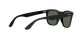 Ray-Ban Steve RB 4487 6629/71