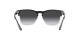 Ray-Ban Steve RB 4487 6630/8G