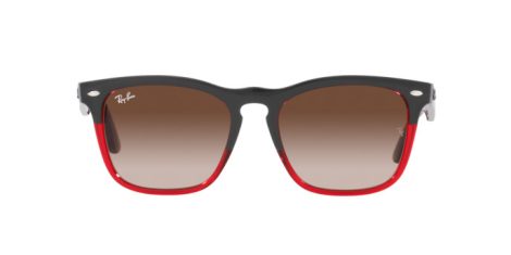 Ray-Ban Steve RB 4487 6631/13