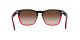 Ray-Ban Steve RB 4487 6631/13