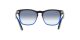 Ray-Ban Steve RB 4487 6632/19