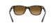 Ray-Ban RB 4640 710/M2