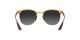 Ray-Ban RB 8327M F081/6G