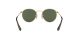 Ray-Ban Junior Round RJ 9547S 223/71